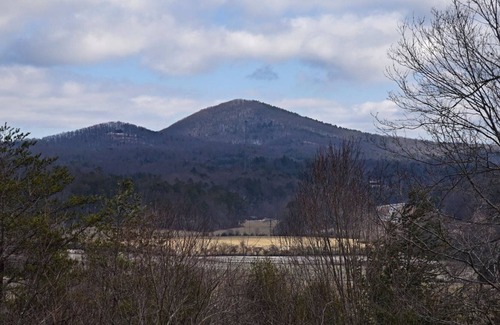 Hemp Cabin | Gigi`s Place,4br/3ba,Wifi,Walk in tub, sleeps 10 - Pet Friendly