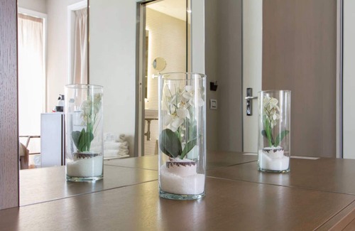 Citta Bassa House | Ginevra Rooms Bergamo