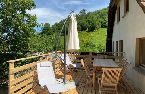 Sainte-Marie-aux-Mines Apartment | Gîte at the Val de Bruinen Farm - Sauna and Jacuzzi for 9p