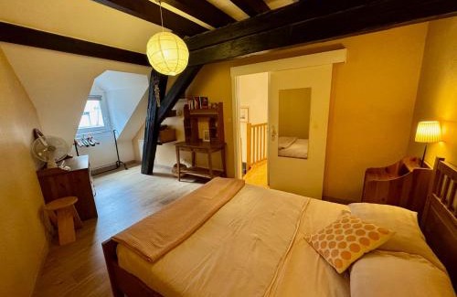 Eguisheim Apartment | GITE Au petit Bredela EGUISHEIM