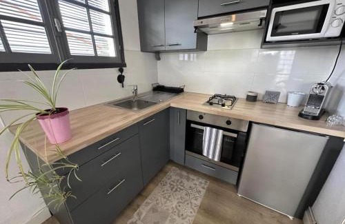 Parentis-en-Born House | Gite bergeron