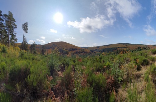 La Salvetat-sur-Agout House | Gîte du Gazel. Nature, space and cozy comfort in the heart of the woods