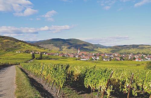 Ammerschwihr House | Gite du Vignoble