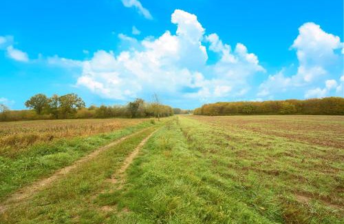 La Chapelle-Aubareil House | Gite La Bessede - Dordogne