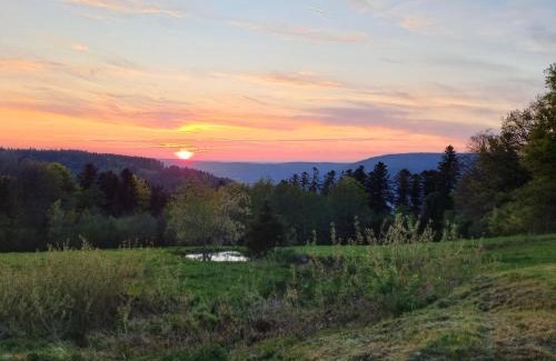 Dommartin-les-Remiremont House | GITE LA HOUBETTE VUE MAGNIFIQUE - Nature