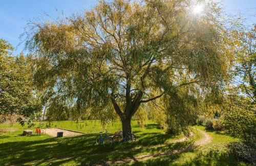 Chaille-les-Marais House | Gite La Grange Hulotte