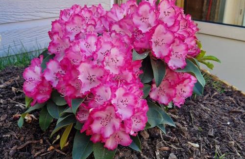 La Bresse Apartment | Gite le petit vosgien