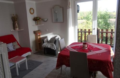 Bennwihr Apartment | Gite "le vignoble " 2 pers coté vignes