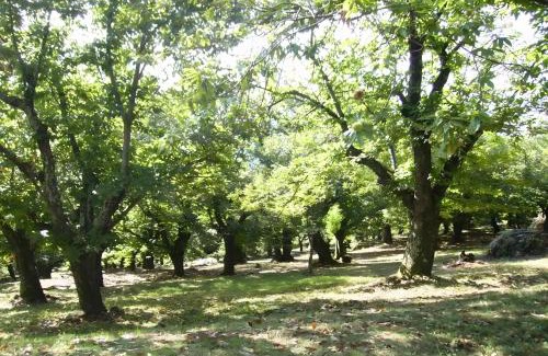 Vesseaux Villa | Gite Les Bouches Rouges 6 personnes