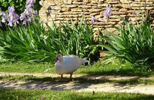 Saint-Genies House | Gite Périgourdin - 2 Chambres