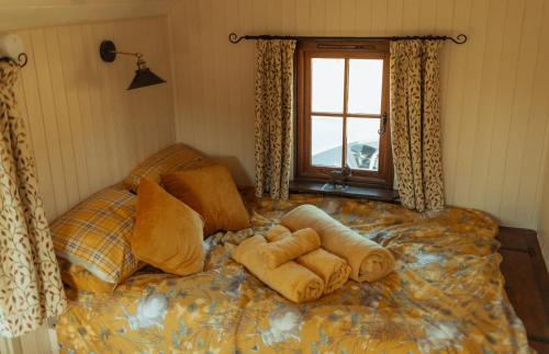 Chippenham House | Glamping in Wiltshire in our luxury Shepherds Hut