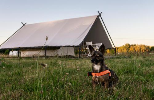 Surmowka Other | Glamping Szelągówka, Sun & Snow