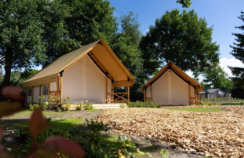 Mol Cabin | Glamping tent Luxury 4