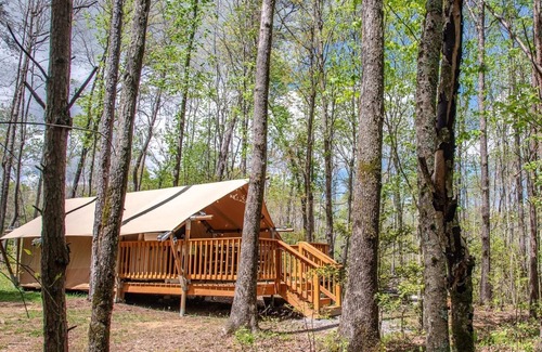 Coalmont Apartment | Glamping Tent with Covered Deck