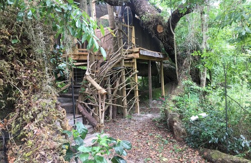 Live Oak Other | Glamping Treehouse on Farm, Unique Experience!