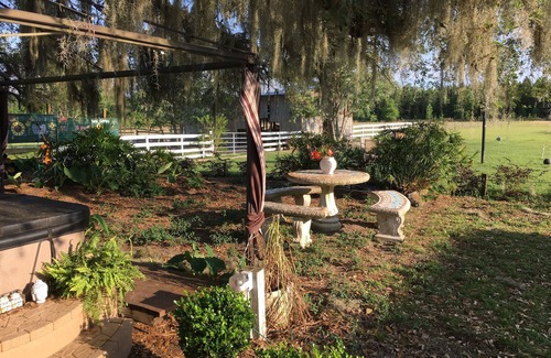 Live Oak Other | Glamping Treehouse on Farm, Unique Experience!