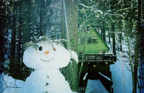 Camp Connell Cabin | Glorious Summer at Cabin on the Creek