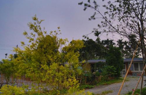 Xinyi Bed & Breakfast | GO Bill B&B