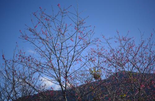 Xinyi Bed & Breakfast | GO Bill B&B