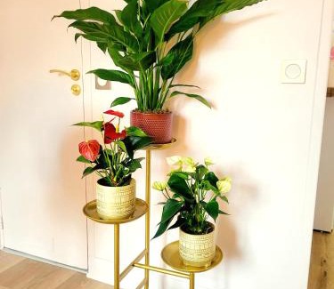 Saint-Germain-en-Laye Apartment | Golden Art Studio