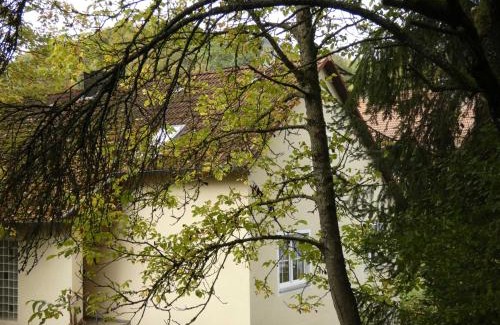 Goessweinstein Apartment | Goldener Fuchs in Moschendorf