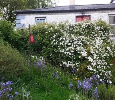 Ballycumber Apartment | Gormanstown House Apt, The Island