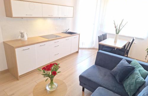 West Pomeranian Voivodeship Apartment | Grand Apartament - prywatny parking, blisko Szpital Arkońska