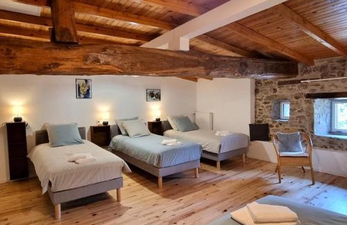 Saint-Denis-sur-Coise House | Grand gîte avec spa, jardin et jeux extérieurs pour 10 pers. - FR-1-496-358