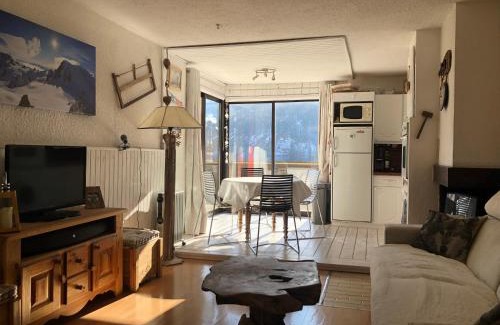 Allos Apartment | Grand studio La Foux d Allos avec vue et terrasse