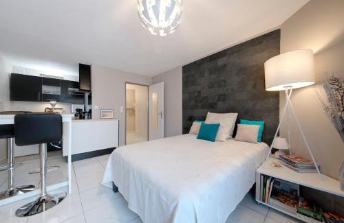 Fontaine Lestang-Bagatelle-Papus-Tabar-Bordelongue Apartment | :) Grand studio lumineux à Toulouse et parking