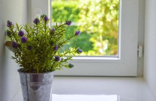 La Rochette Bed & Breakfast | Grande Chambre d'hôte Les Chats-Pîtres