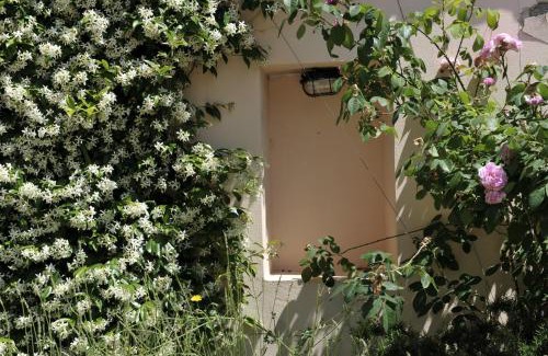 Dragove House | Grandpa Mate House