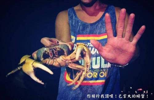 Eluan House | Grass B&B