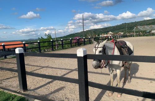 Saire Apartment | Gravatá MONTE CASTELO