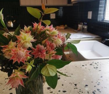 Strand Apartment | Gray Cottage