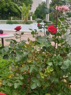 Grazzano Visconti House | GRAZZANO ANTICA STAZIONE