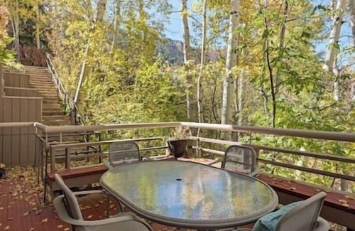 Aspen Apartment | Great Condo Next to Gondola! Walk to Everything!