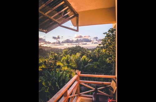 Samana Apartment | Great Palm view - Apartment 3 in Villa Coconut