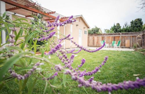 Berryessa House | Great Stay in San Jose