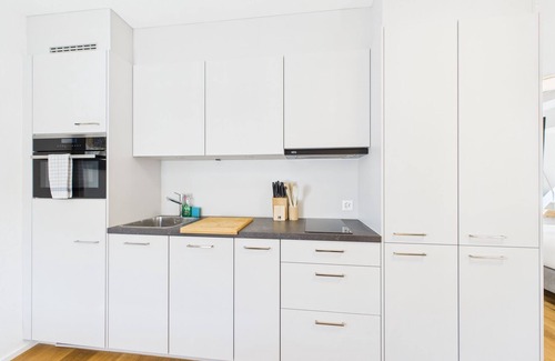 Rapperswil Apartment | Great studio in the center of Rapperswil - Studio 3