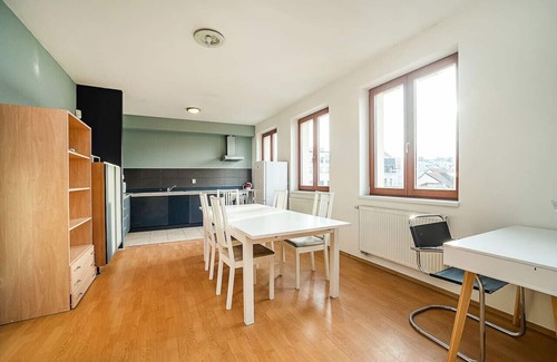 Zizkov Apartment | Great Terrace in Big, Central Flat