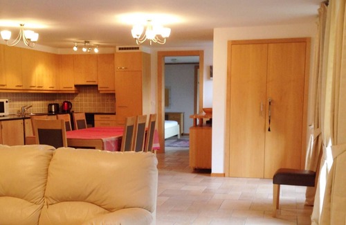 Chateau-d'Oex Apartment | Great view Top floor spacious flat with Pool and Gym
