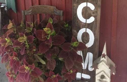 McMinnville House | Green Acres Farm located right outside of McMinnville, TN.