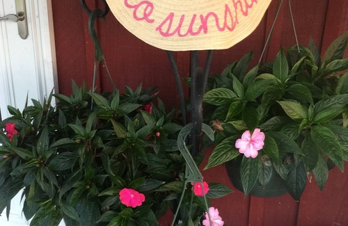 McMinnville House | Green Acres Farm located right outside of McMinnville, TN.