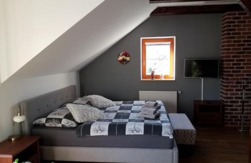 Frantiskovy Lazne Apartment | Green Apartment