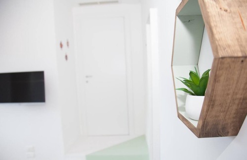 Fuorigrotta Apartment | Green apartment with double bedroom and living room / kitchen with sofa bed and private bathroom