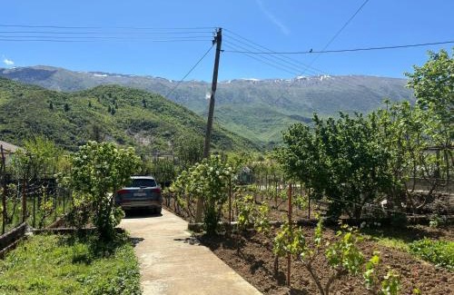 Albania House | Green House Permet