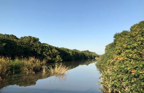 Mtunzini Apartment | Green Leaf Cottage