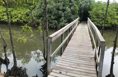 Mtunzini Apartment | Green Leaf Cottage