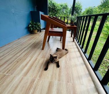 Ko Yao House | Green Mountain Resort Koh Yao